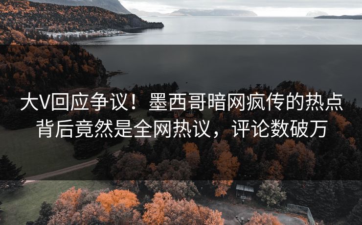 大V回应争议！墨西哥暗网疯传的热点背后竟然是全网热议，评论数破万