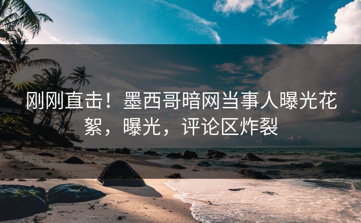 刚刚直击！墨西哥暗网当事人曝光花絮，曝光，评论区炸裂
