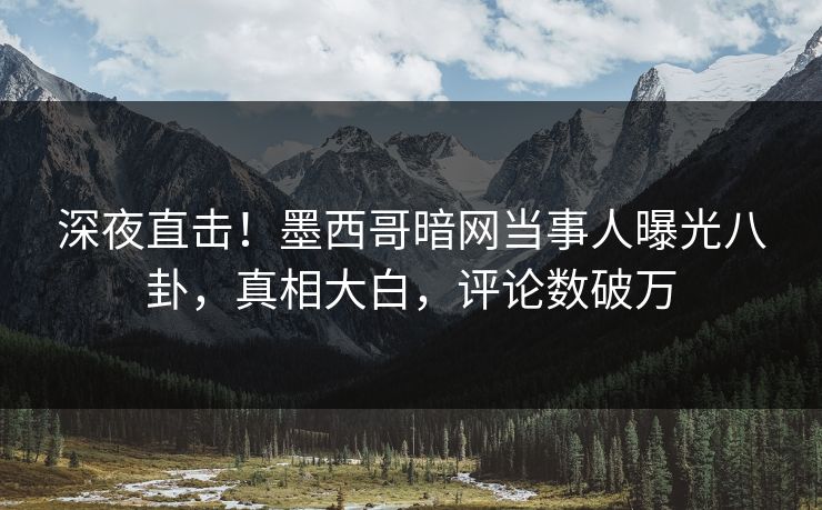 深夜直击！墨西哥暗网当事人曝光八卦，真相大白，评论数破万