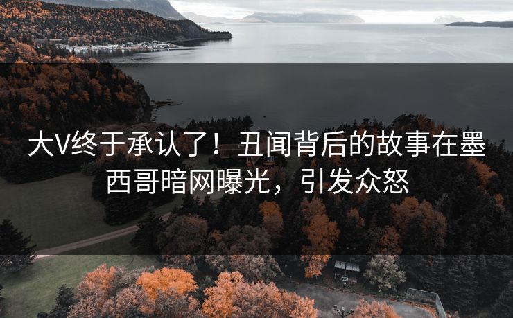 大V终于承认了！丑闻背后的故事在墨西哥暗网曝光，引发众怒