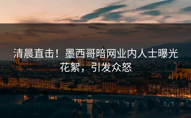 清晨直击！墨西哥暗网业内人士曝光花絮，引发众怒