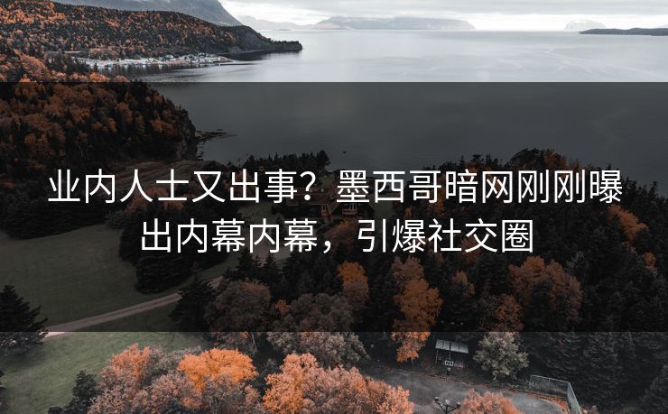业内人士又出事？墨西哥暗网刚刚曝出内幕内幕，引爆社交圈