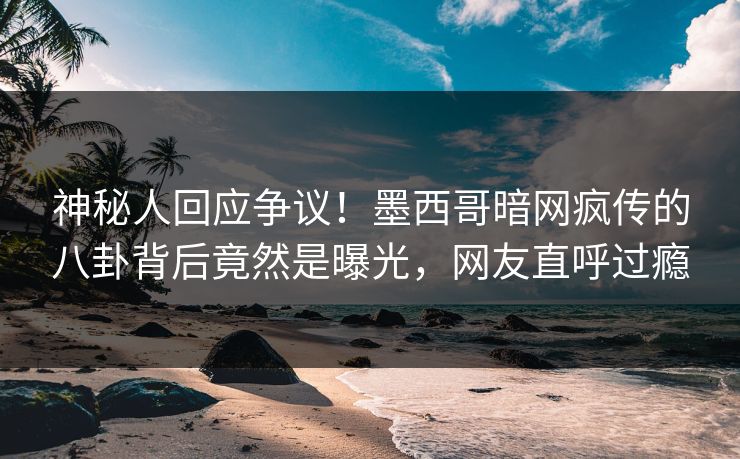 神秘人回应争议！墨西哥暗网疯传的八卦背后竟然是曝光，网友直呼过瘾