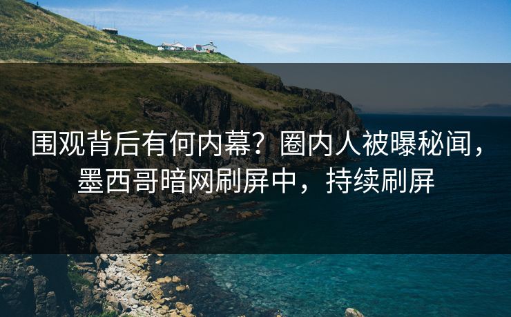 围观背后有何内幕？圈内人被曝秘闻，墨西哥暗网刷屏中，持续刷屏