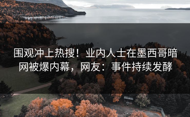 围观冲上热搜！业内人士在墨西哥暗网被爆内幕，网友：事件持续发酵
