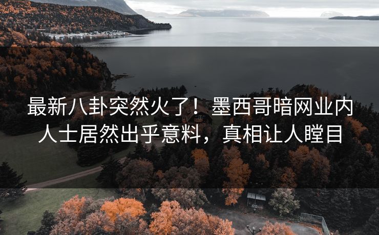 最新八卦突然火了！墨西哥暗网业内人士居然出乎意料，真相让人瞠目